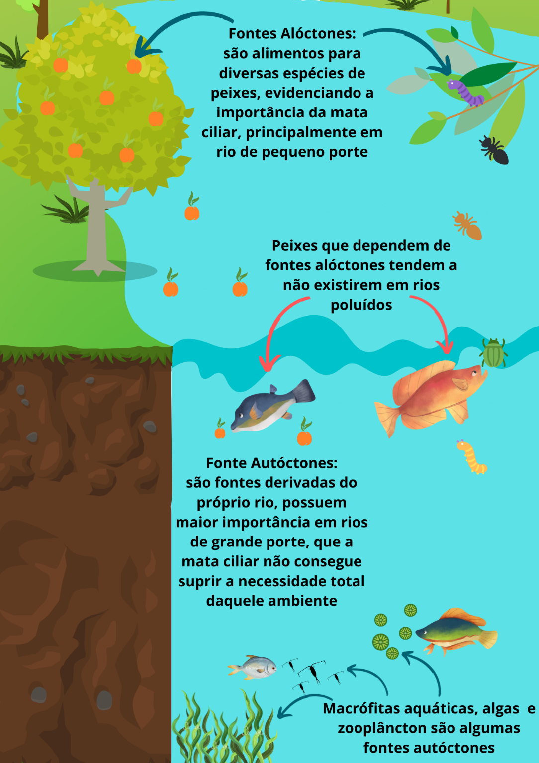 pesca3