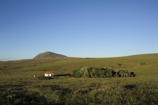 INTERNA - Rio Preto