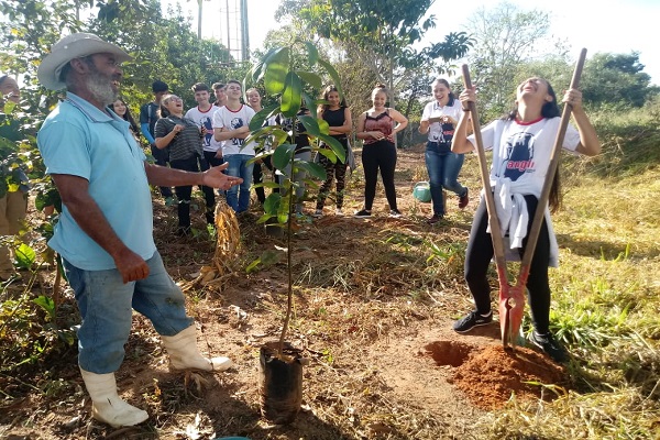 Mata do Cedro 5-Dentro