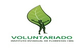 Voluntariado Capa