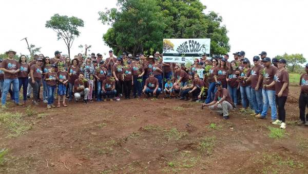 Mudas Paracatu 2 Interna