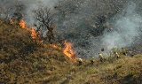 combate incêndio capinha