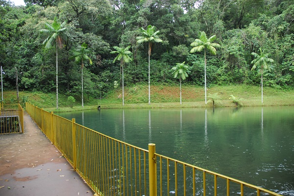 Manancial Taboões 7 Dentro