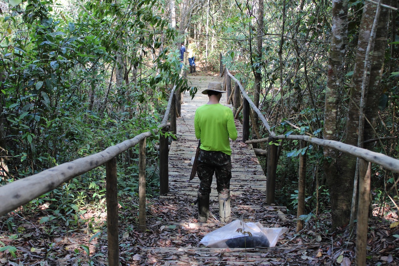 Ação atende ao objetivo 1 do PAT que é a organização, geração e ampliação de conhecimento sobre espécies do território e seus ambientes