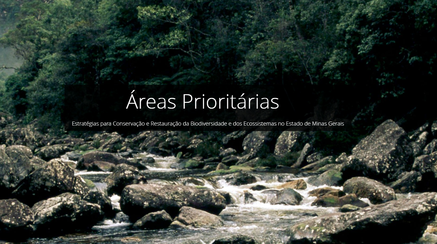 Areas_PRIORITÁRIAS_1