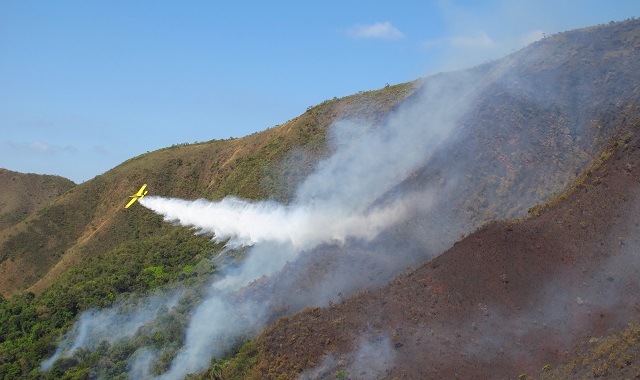 prevencap-de-incendios-IEF-60-anos-dentro