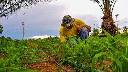 Lançamento da plataforma é mais um avanço conquistado por Minas na Regularização Ambiental